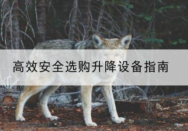 夏津升降货梯厂家推荐-*安全选购升降设备指南