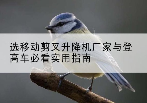 夏津电动升降机厂家-选移动剪叉升降机厂家与登高车必看实用指南