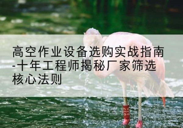 夏津剪叉式升降机厂家-高空作业设备选购实战指南-十年工程师揭秘厂家筛选核心法则